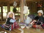 Long Necks und Karen D�rfer