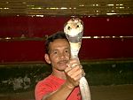 Mae Rim Snakefarm