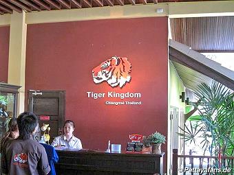 Tiger: image 1 0f 10 thumb