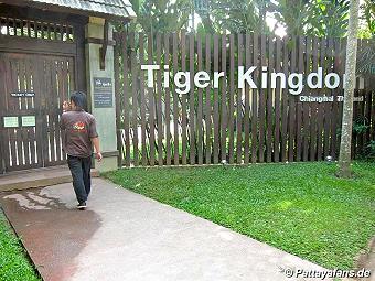 Tiger: image 3 0f 10 thumb