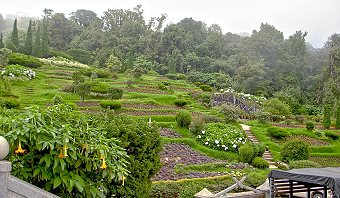doi_inthanon_07.jpg