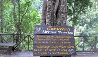 doi_inthanon_10.jpg