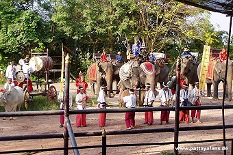 elephant2.jpg
