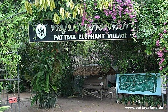 elephant5.jpg