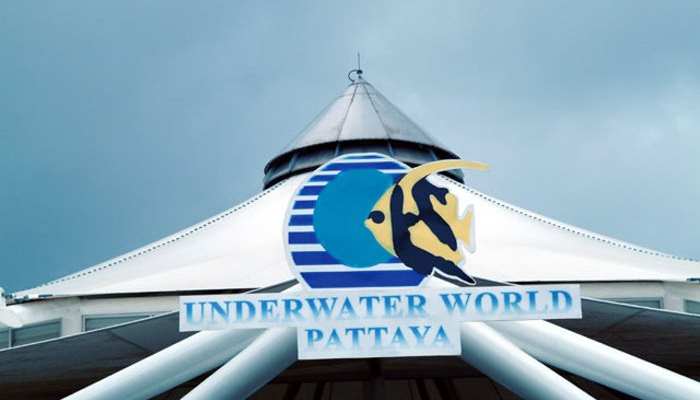 Pattaya Unterwater World