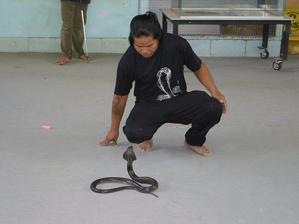 Snake Farm Pattaya