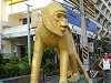 lopuri