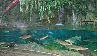 Sea Life Bangkok Ocean World