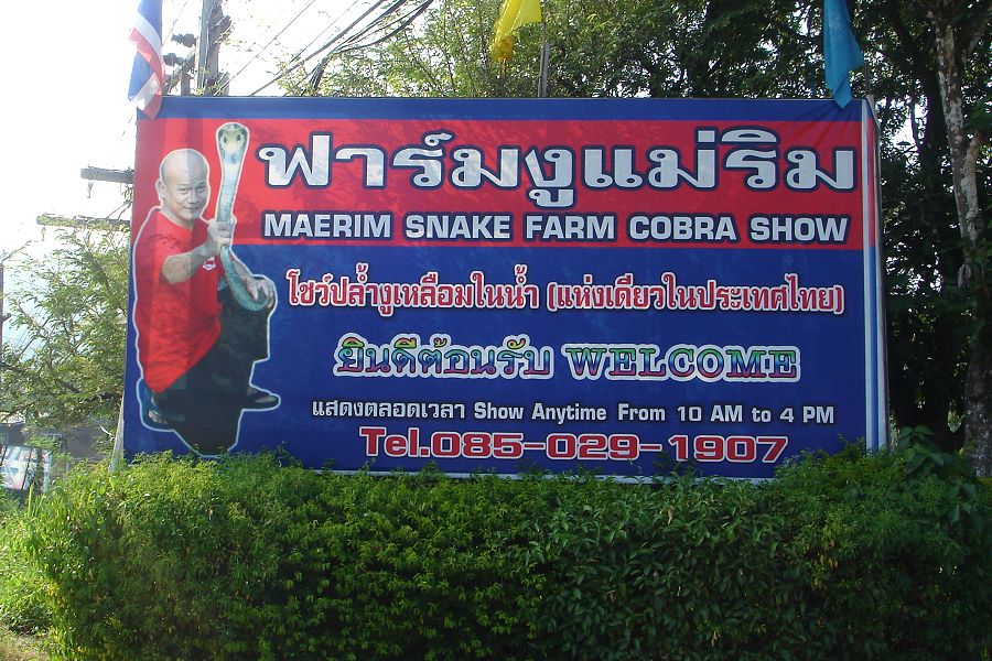Mae Rim Snakefarm