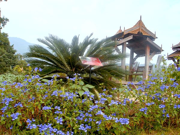 Queen Sirikit Botanic Garden