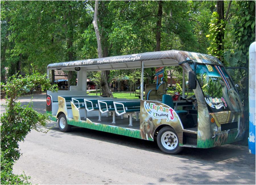 Thai Elephant Conservation Center Lampang