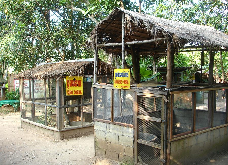 Schlangengehege in der Snake Farm Mae Rim nahe Chiang Mai