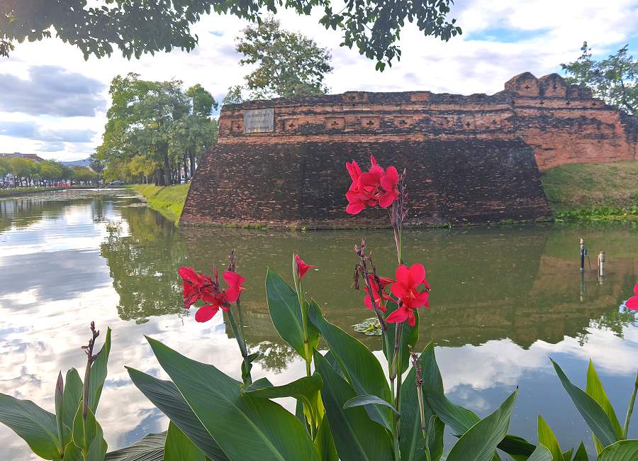 Alte Stadtmauer von Chiang Mai mit Wassergraben