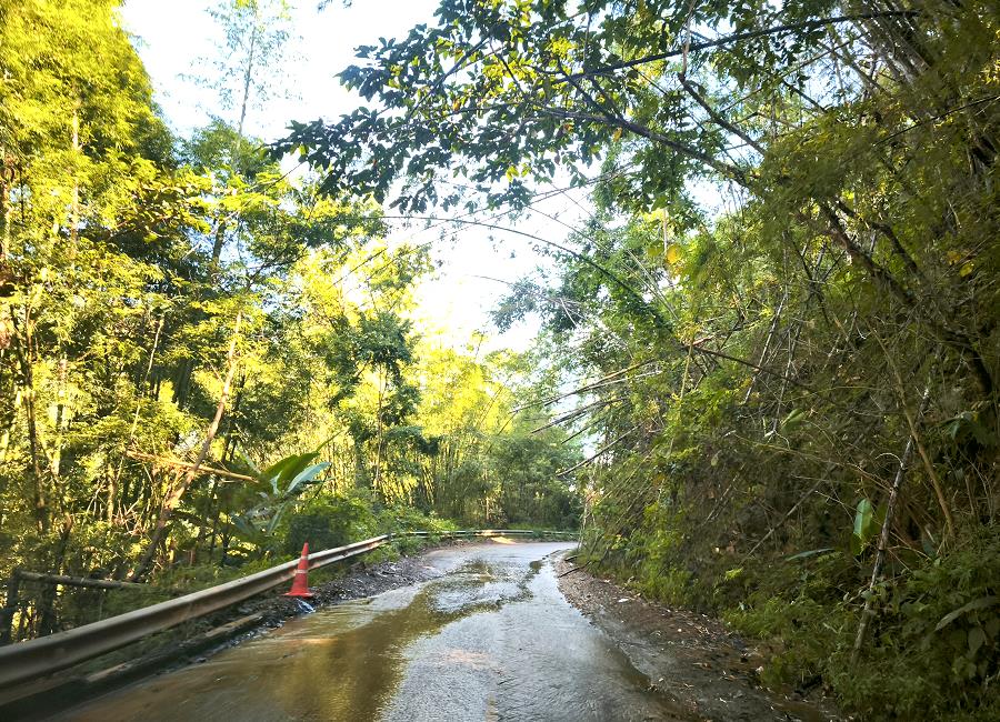 Regenwasser auf der Straße 3024