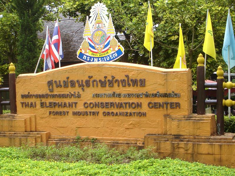 Thai Elephant Conservation Center Lampang