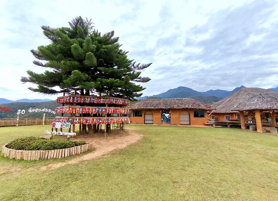 Baum der Liebe Yun Lai Viewpoint Pai