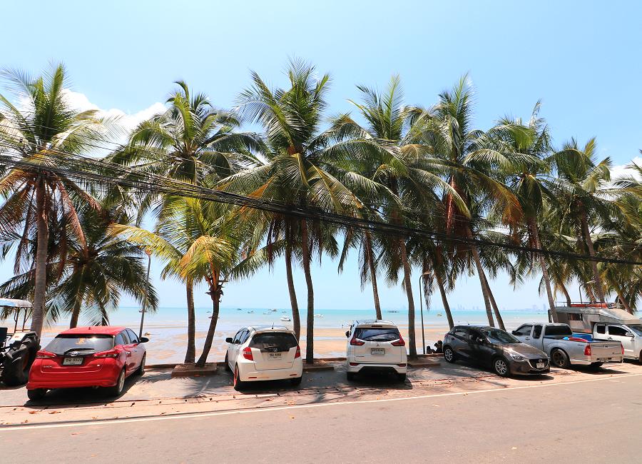 Kokospalmen am Bang Saray Strand spenden Schatten