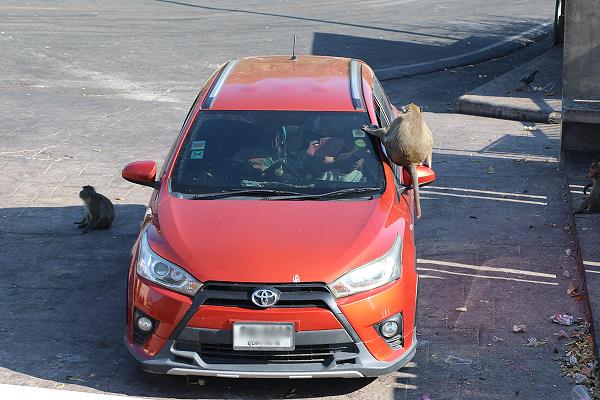 Bang Saen Khao Sam Muk