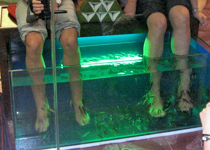 Fisch-Spa-Therapie, Fische an den Füßen knabbern lassen