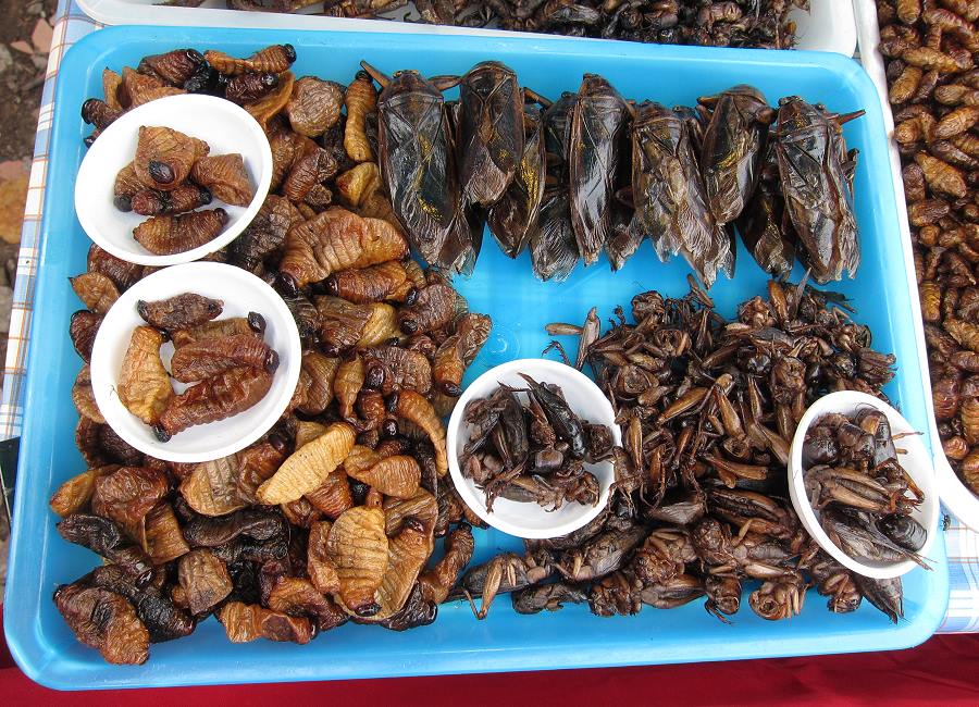 Frittierte Insekten im Isaan Thailand Straßenmarkt