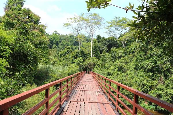 Khao Yai Nationalpark