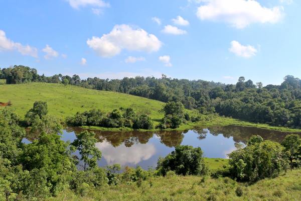 Khao Yai Nationalpark