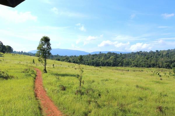 Khao Yai Nationalpark