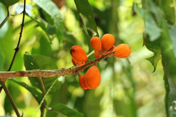 Haew Narok Wasserfall