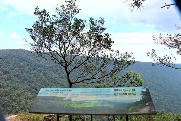 Pha Diao Dai Nature Trail