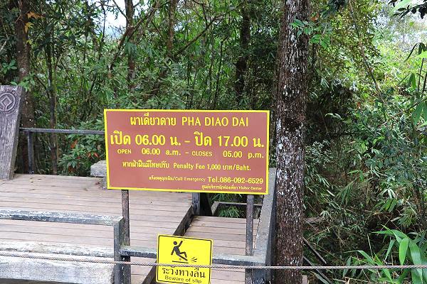 Pha Diao Dai Nature Trail