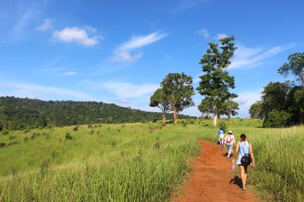 Nong Phak Chi Nature Trail