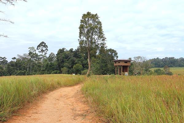 Nong Phak Chi Nature Trail
