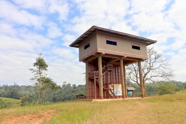 Nong Phak Chi Nature Trail