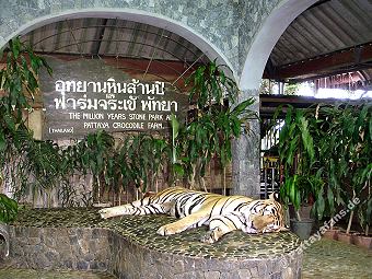 Krokodilfarm Pattaya
