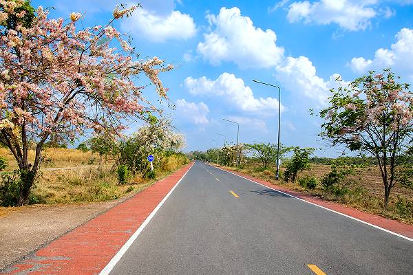 Romantische Straße bei Lopburi mit ländlicher Landschaft
