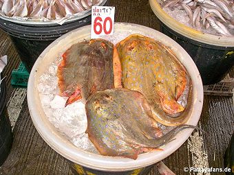 Naklua Fischmarkt Pattaya – frischer Fisch und Meeresfrüchte