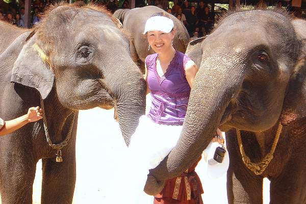 Nong Nooch Tropical Garden