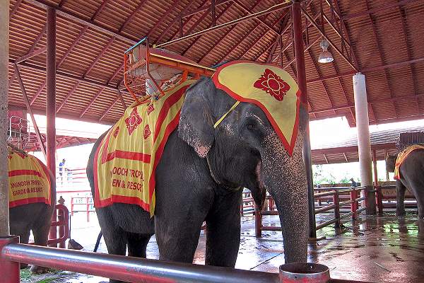 Nong Nooch Tropical Garden