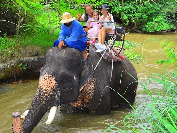 Elephant Village Pattaya