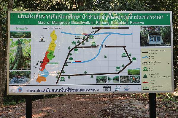 Informationstafel Ngao Mangrove Forest Research Centre Ranong