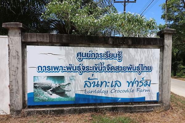 Ranong Crocodile farm