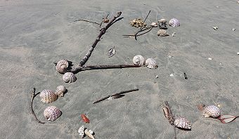 Laem Son National Park