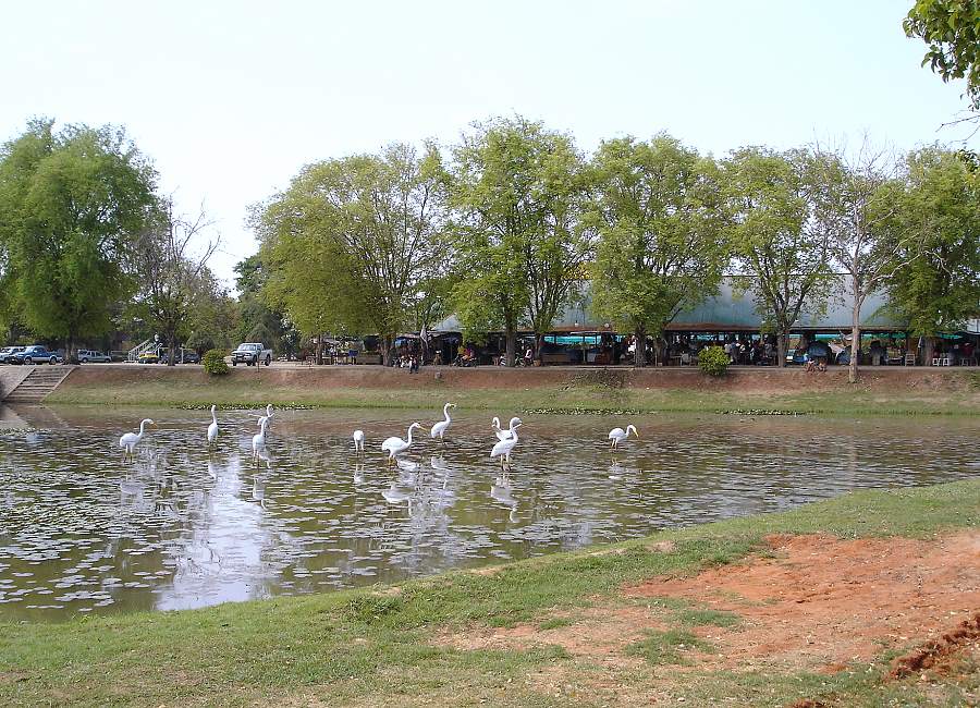 Essensmarkt Phimai am See