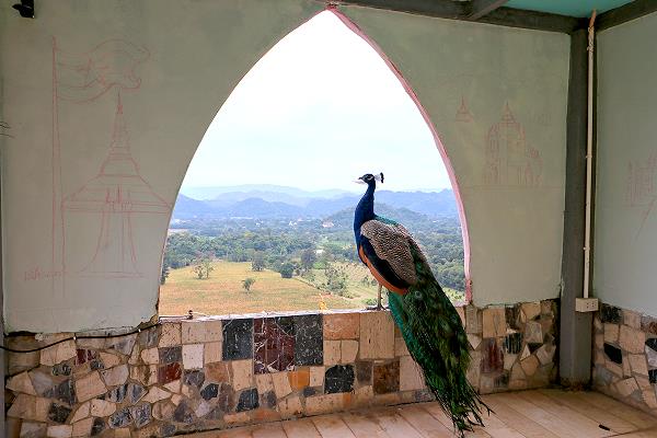 Wat Simalai Songtham