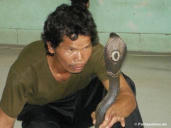 Schlangenfarm Pattaya