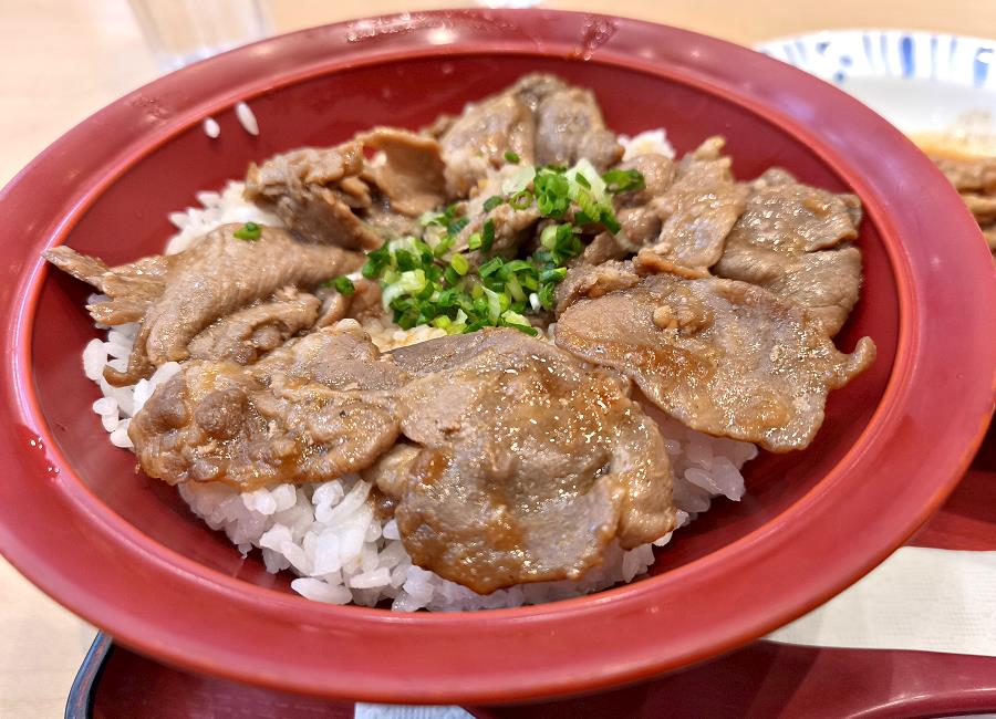 Yakiniku Bowl Detailaufnahme Sukiya