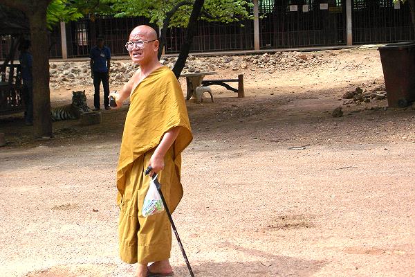 Abt Phra Acharn im Tiger Tempel bei Kanchanaburi