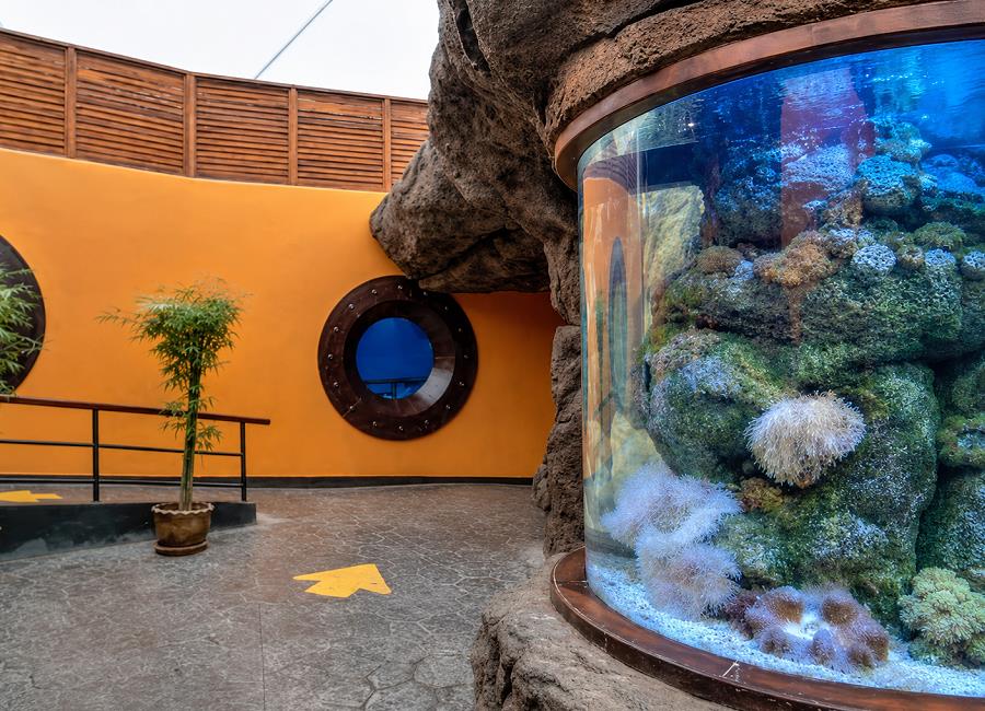 Runder Aquarienturm mit Korallen im Underwater World Pattaya
