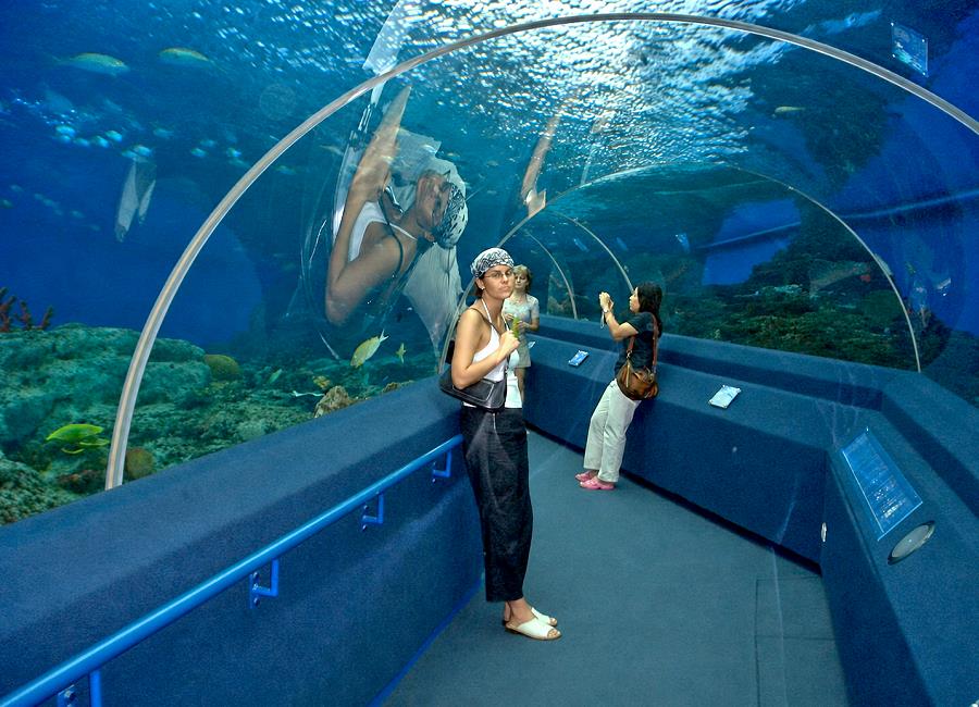 Besucher im Unterwassertunnel des Underwater World Pattaya