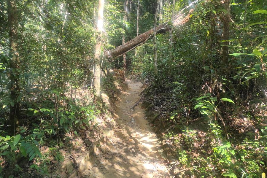 Khlong Phlu Naturpfad